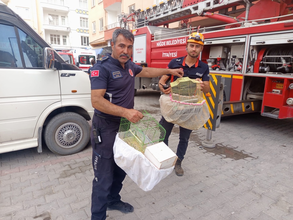 Yangın sırasında hayvanlar unutulmadı