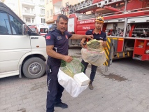 Yangın sırasında hayvanlar unutulmadı