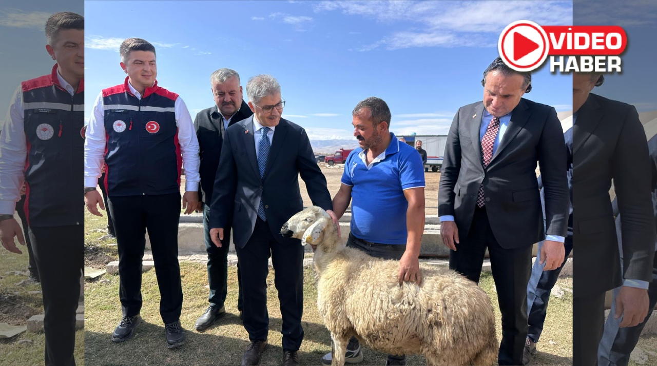 Yangında hayvanlarını kaybeden yetiştiriciye büyük destek