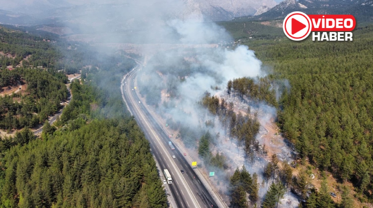 Adana-Niğde Otoyolu'nda otomobilde çıkan yangın ormana sıçradı