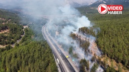 Adana-Niğde Otoyolu'nda otomobilde çıkan yangın ormana sıçradı