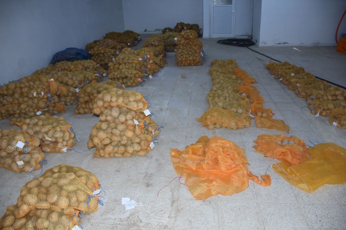 yerli-ve-milli-patates-cesidi-elde-etmek-12-yil-suruyor_6865_dhaphoto3.jpg
