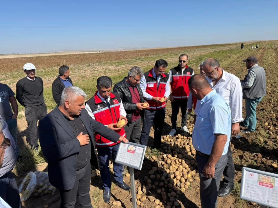 Yerli ve Milli Patates Çeşitleri Aksaray'da tam not aldı