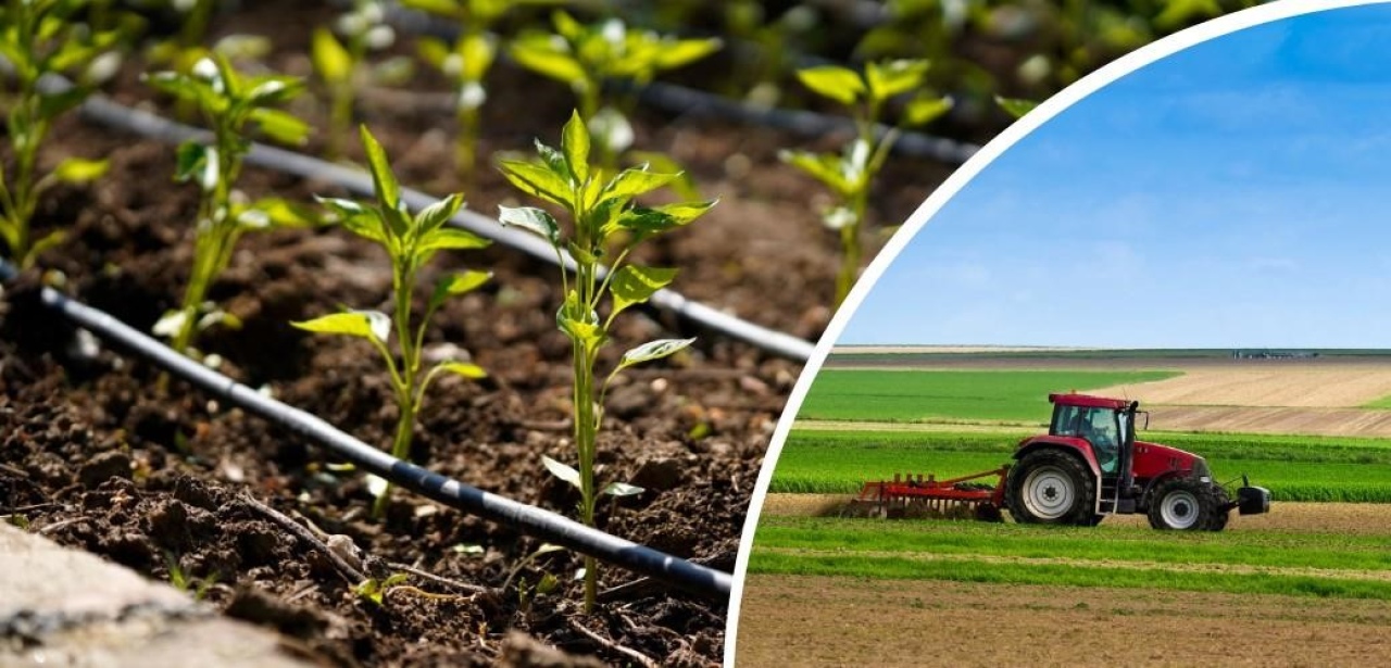 Yeşil Yakalılara Söyleşiler Niğde’de düzenlenecek