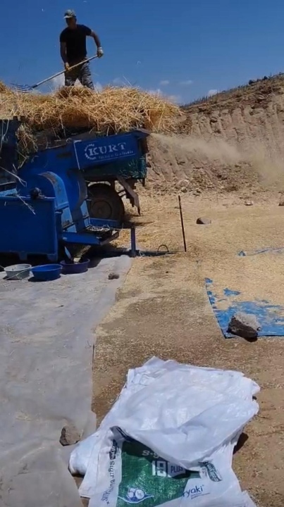 Yıldıztepe'de Hasat Zamanı Başladı