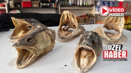 Yılların balıkçısı, sıra dışı hobisiyle dikkat çekiyor 