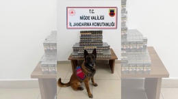 Yolcu otobüsünde yüzlercesi ele geçirildi