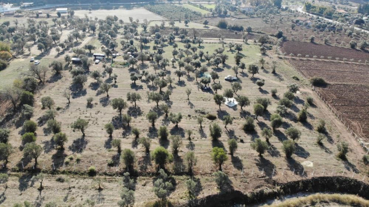 Zeytinliklerle ilgili kanun teklifi kabul edildi
